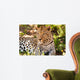 Leopard im Schatten Wall Mural