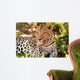 Leopard im Schatten Wall Mural