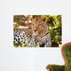 Leopard im Schatten Wall Mural