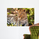 Leopard im Schatten Wall Mural
