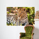 Leopard im Schatten Wall Mural