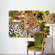 Leopard im Schatten Wall Mural
