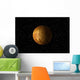 3D Render Venus Wall Decal