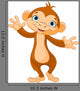 Baby Monkey
