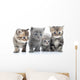 Portrait Young Cats' Group Wall Decal