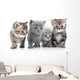 Portrait Young Cats' Group Wall Decal