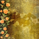 Grunge concrete wall with garland of painting rose Wall Mural