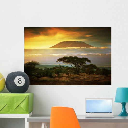 Mount Kilimanjaro Savanna Amboseli