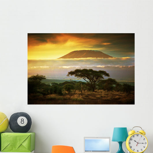Mount Kilimanjaro Savanna Amboseli