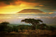 Mount Kilimanjaro Savanna Amboseli