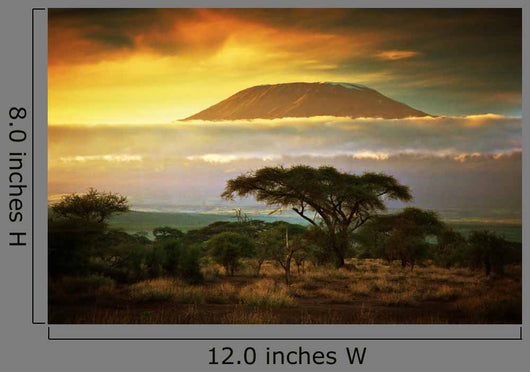 Mount Kilimanjaro Savanna Amboseli