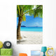 Green Tree White Sand