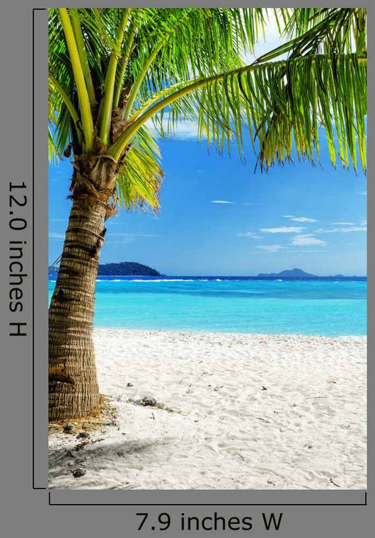 Green Tree White Sand