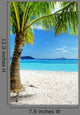 Green Tree White Sand
