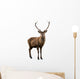 Deer Portrait Wall Decal