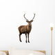 Deer Portrait Wall Decal