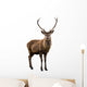 Deer Portrait Wall Decal