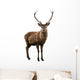 Deer Portrait Wall Decal
