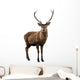 Deer Portrait Wall Decal