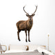 Deer Portrait Wall Decal