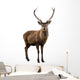 Deer Portrait Wall Decal