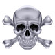 Skull and Crossbones