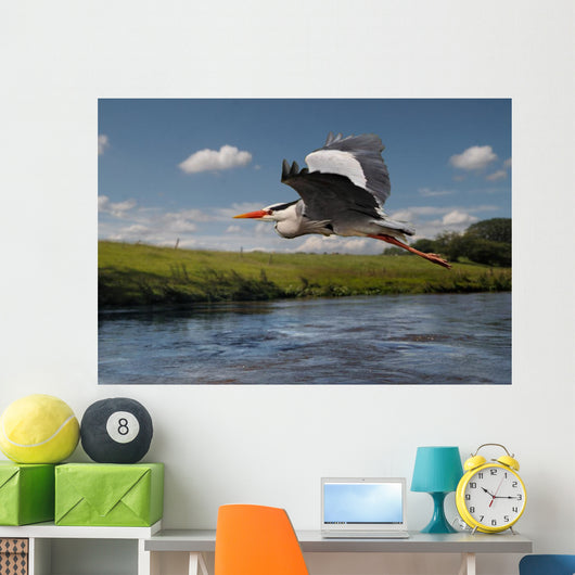 Heron Flight Wall Mural