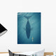 Whale below Sea Kayak Wall Decal