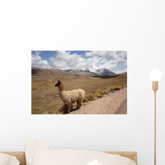 Campagne Bolivienne Wall Decal
