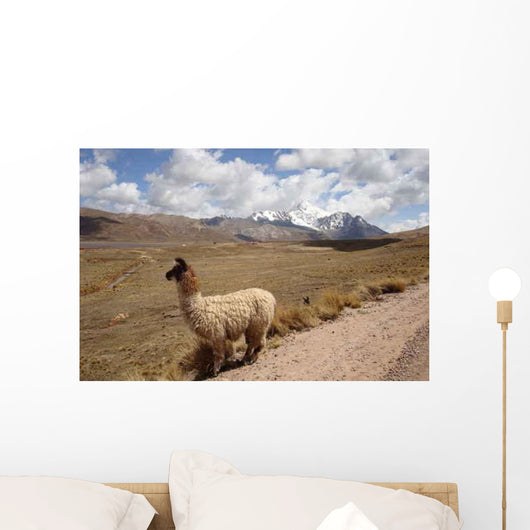 Campagne Bolivienne Wall Decal