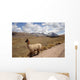 Campagne Bolivienne Wall Decal