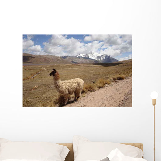 Campagne Bolivienne Wall Decal