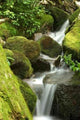 Water Fall Wall Decal