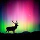 Northern Lights with Deer