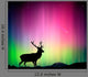 Northern Lights with Deer