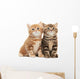 Two British Shorthair Kitten Wall Decal