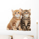 Two British Shorthair Kitten Wall Decal
