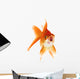 Gold Fish White