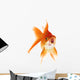 Gold Fish White