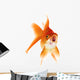 Gold Fish White