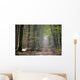 Chemin Dans Une Foret Wall Decal