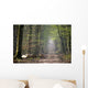 Chemin Dans Une Foret Wall Decal