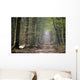 Chemin Dans Une Foret Wall Decal
