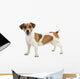 Jack Russel Terrier Wall Decal