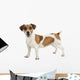 Jack Russel Terrier Wall Decal