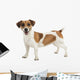 Jack Russel Terrier Wall Decal