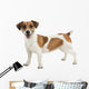 Jack Russel Terrier Wall Decal