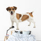 Jack Russel Terrier Wall Decal