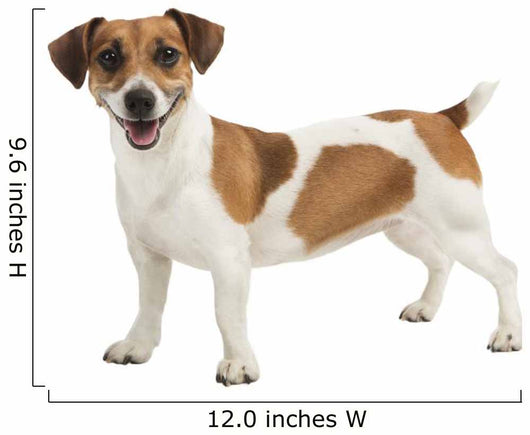 Jack Russel Terrier Wall Decal