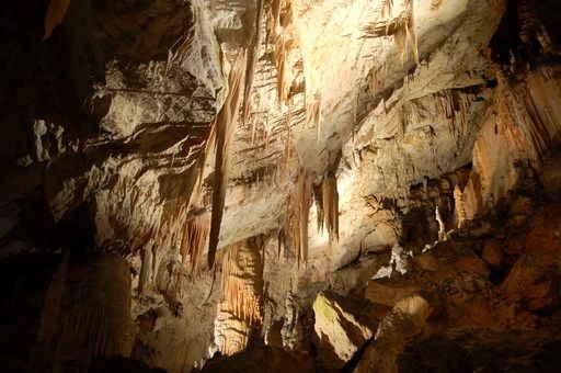 Postojna Cave Stalactites Wall Decal